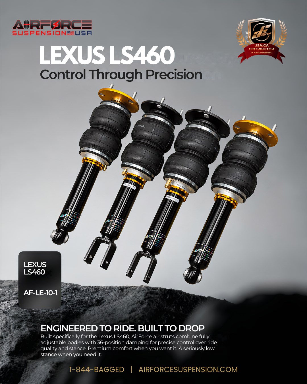 Lexus LS460 struts on a gray background with Control Through Precision headline